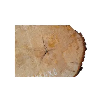 Plaster Lipy 66x44x6cm