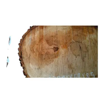 Plaster Lipy 66x48x8,5cm
