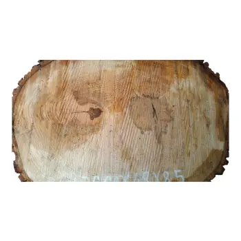 Plaster Lipy 66x48x8,5cm