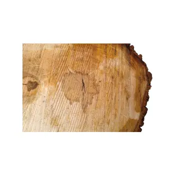 Plaster Lipy 66x48x8,5cm