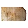 Plaster Lipy 67x47x8cm