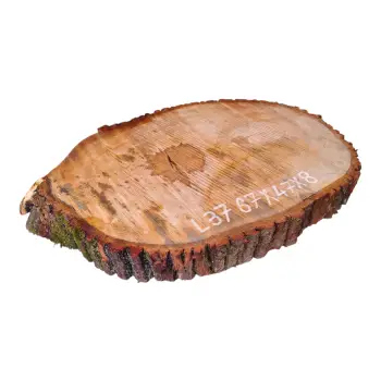 Plaster Lipy 67x47x8cm
