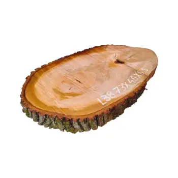 Plaster Lipy 73x46x6,5cm