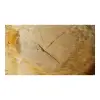 Plaster Lipy 85x81x9cm