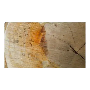 Plaster Lipy 85x81x9cm