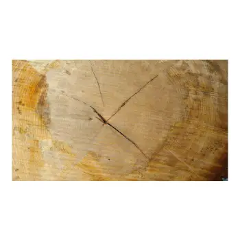 Plaster Lipy 85x81x9cm