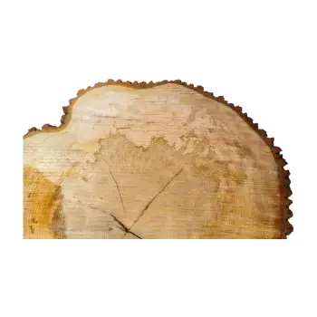 Plaster Lipy 85x81x9cm