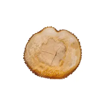 Plaster Lipy 84x77x9cm