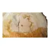 Plaster Lipy 82x78x9cm
