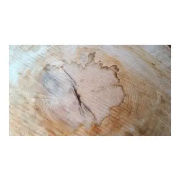 Plaster Lipy 82x73x9cm