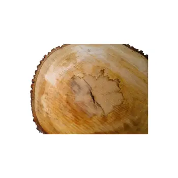 Plaster Lipy 82x73x9cm