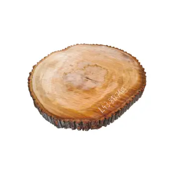 Plaster Lipy 81x79x9cm