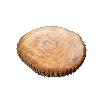 Plaster Lipy 81x79x9cm