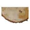 Plaster Lipy 60x43x5cm