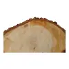 Plaster Lipy 60x43x5cm