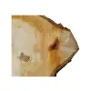 Plaster Lipy 60x43x5cm