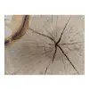 Plaster Lipy 44x44x5cm