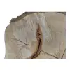Plaster Lipy 44x44x5cm