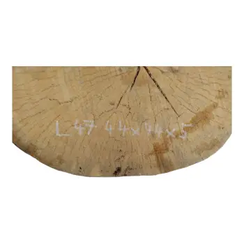 Plaster Lipy 44x44x5cm