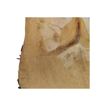 Plaster Lipy 44x45x5cm