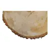 Plaster Lipy 58x43x5cm