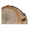 Plaster Lipy 58x43x5cm