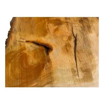 Plaster Lipy 96x65x12cm