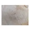 Plaster Lipy 54x42x5cm