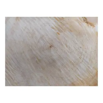 Plaster Lipy 54x42x5cm