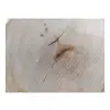 Plaster Lipy 51x43x5cm