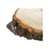 Plaster Lipy 51x43x5cm
