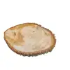 Plaster Lipy 58x43x5cm