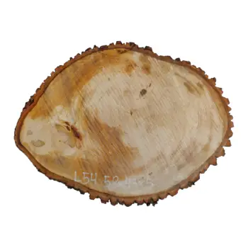 Plaster Lipy 58x43x5cm