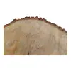 Plaster Lipy 54x43x5cm