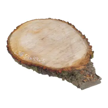 Plaster Lipy 54x43x5cm