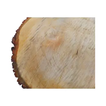 Plaster Lipy 54x43x5cm