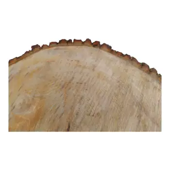 Plaster Lipy 54x43x5cm