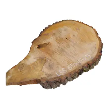 Plaster Lipy 65x45x5cm