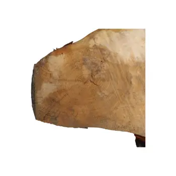 Plaster Lipy 65x45x5cm