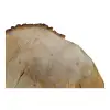 Plaster Lipy 60x43x5cm
