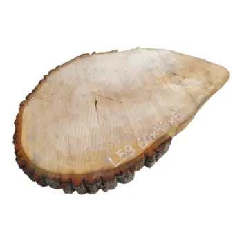 Plaster Lipy 60x43x5cm