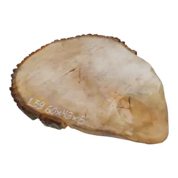 Plaster Lipy 60x43x5cm
