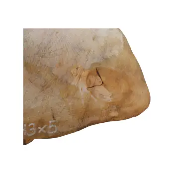 Plaster Lipy 60x43x5cm