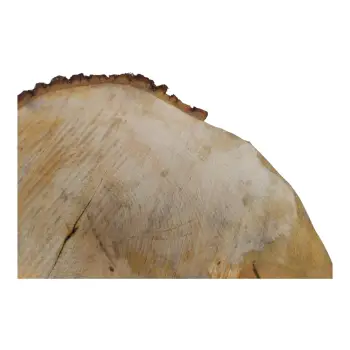 Plaster Lipy 60x43x5cm
