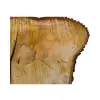 Plaster Lipy 119x67x10cm