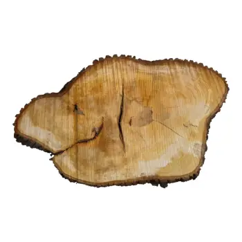 Plaster Lipy 119x67x10cm