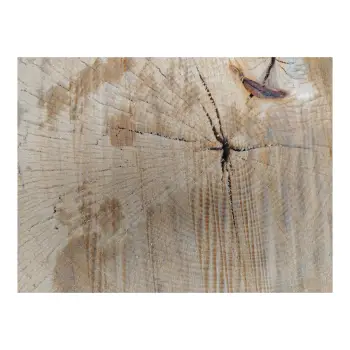 Plaster Lipy 55x44x5cm