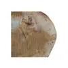 Plaster Lipy 55x44x5cm