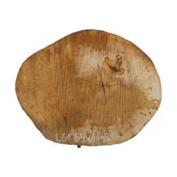 Plaster Lipy 55x44x5cm