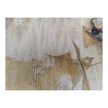 Plaster Lipy 55x44x5cm